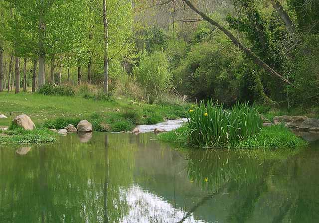paraje del sargal